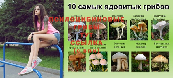 jwh Аркадак