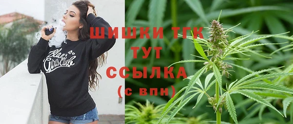 соль ск Арсеньев