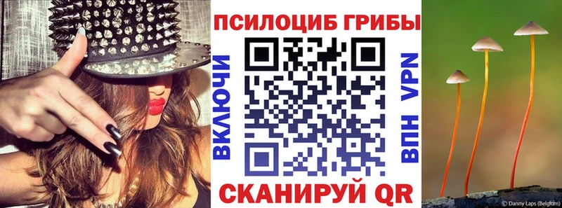 Псилоцибиновые грибы Magic Shrooms  что такое   Шагонар 